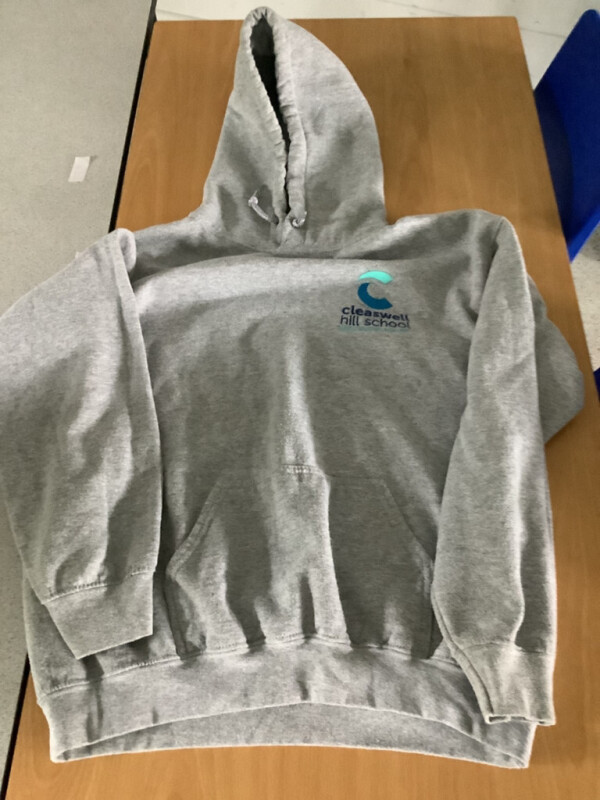 CHS Hoodie Image