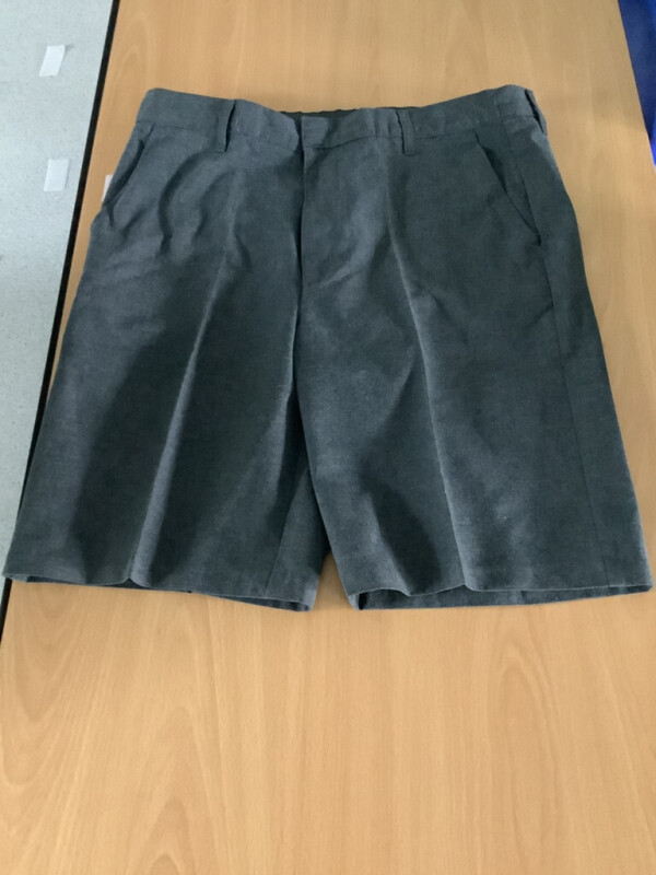Grey Shorts Image
