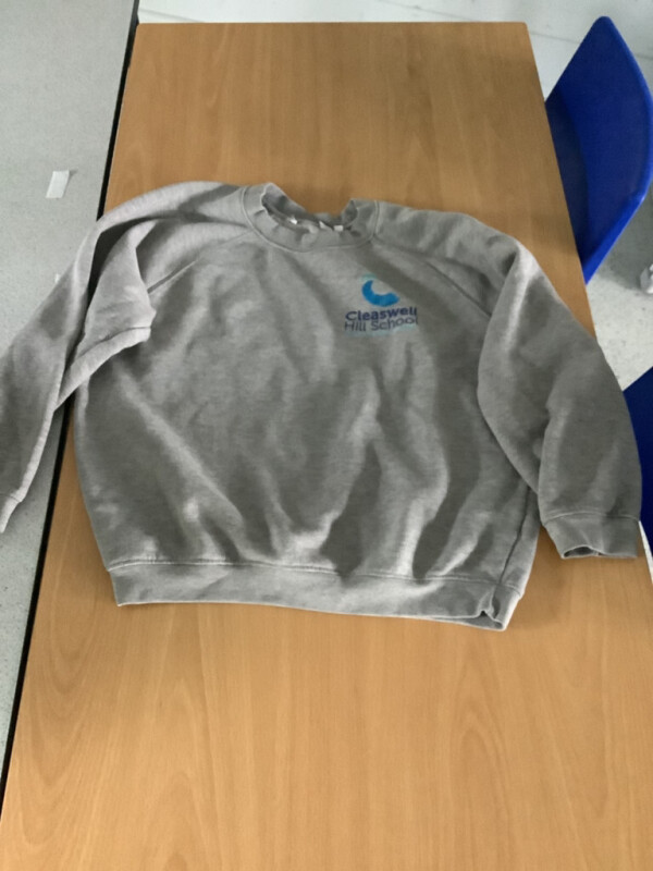 CHS Sweatshirt Image