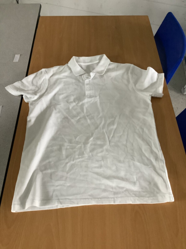 White Polo Top - Unisex Image